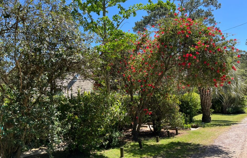 Alquiler de Casas en Punta del Este Pinares Parada 29