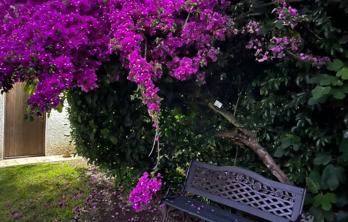 Alquiler de Casas en Punta del Este Pinares Parada 29